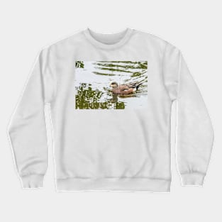 American Wigeon Changing Plumage Crewneck Sweatshirt